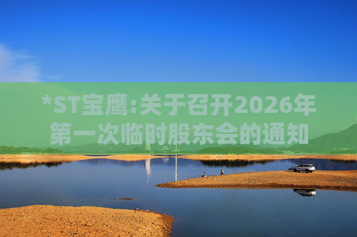 *ST宝鹰:关于召开2026年第一次临时股东会的通知