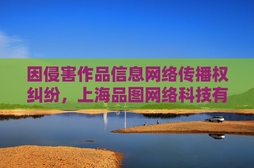 因侵害作品信息网络传播权纠纷，上海品图网络科技有限公司起诉华东医药