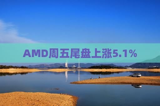 AMD周五尾盘上涨5.1%
