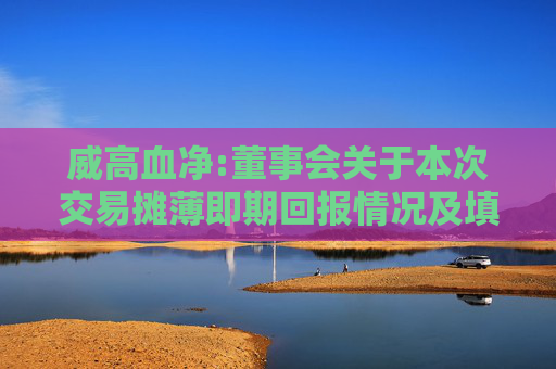 威高血净:董事会关于本次交易摊薄即期回报情况及填补措施的说明