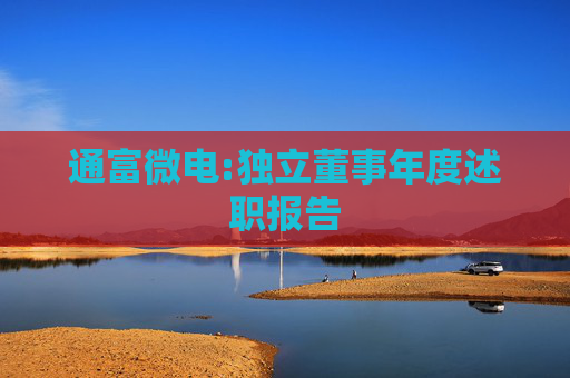 通富微电:独立董事年度述职报告