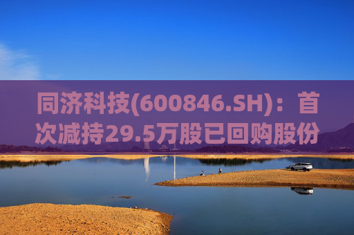 同济科技(600846.SH)：首次减持29.5万股已回购股份