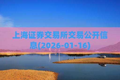 上海证券交易所交易公开信息(2026-01-16)