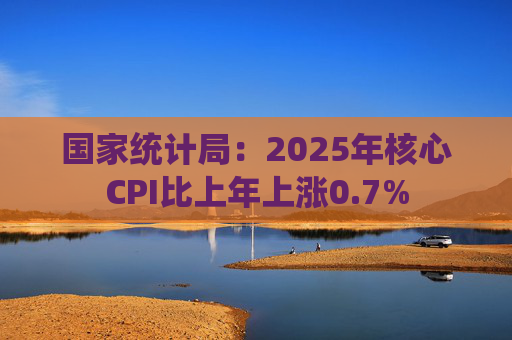 国家统计局:2025年核心CPI比上年上涨0.7%