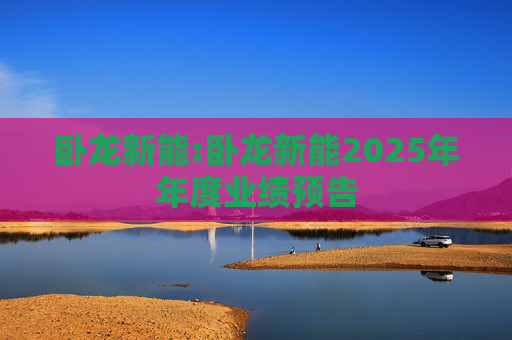 卧龙新能:卧龙新能2025年年度业绩预告
