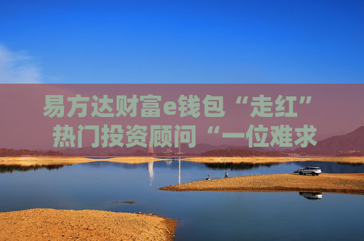 易方达财富e钱包“走红”  热门投资顾问“一位难求”