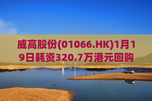 威高股份(01066.HK)1月19日耗资320.7万港元回购61.5万股