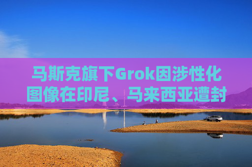 马斯克旗下Grok因涉性化图像在印尼、马来西亚遭封禁 系全球首例