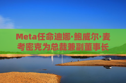 Meta任命迪娜·鲍威尔·麦考密克为总裁兼副董事长