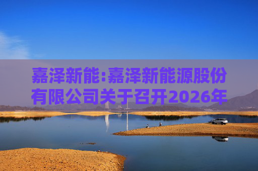 嘉泽新能:嘉泽新能源股份有限公司关于召开2026年第一次临时股东会的通知