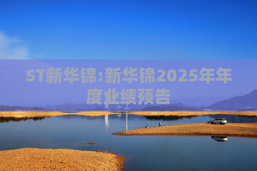 ST新华锦:新华锦2025年年度业绩预告