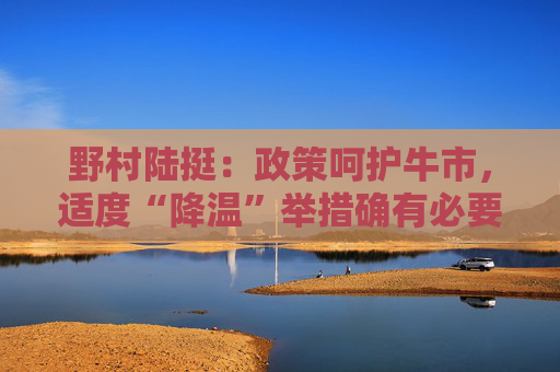 野村陆挺：政策呵护牛市，适度“降温”举措确有必要