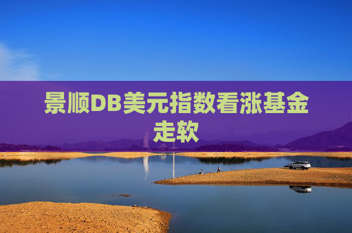 景顺DB美元指数看涨基金走软