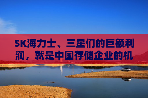 SK海力士、三星们的巨额利润，就是中国存储企业的机会