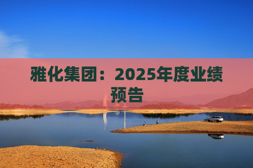 雅化集团：2025年度业绩预告
