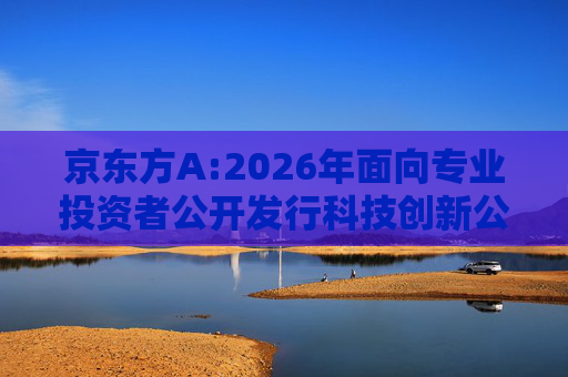 京东方A:2026年面向专业投资者公开发行科技创新公司债券(第一期)募集说明书