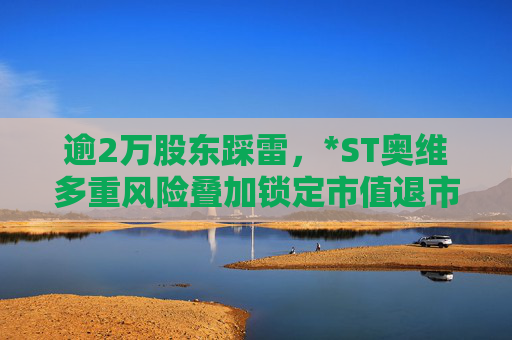 逾2万股东踩雷，*ST奥维多重风险叠加锁定市值退市