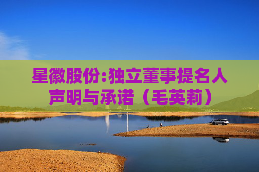 星徽股份:独立董事提名人声明与承诺（毛英莉）