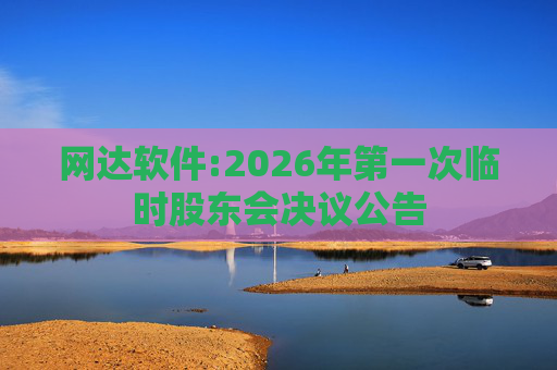 网达软件:2026年第一次临时股东会决议公告