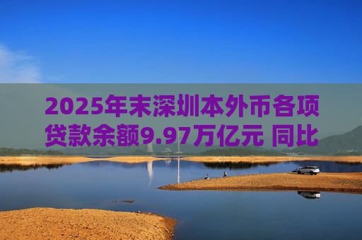 2025年末深圳本外币各项贷款余额9.97万亿元 同比增长5.1%