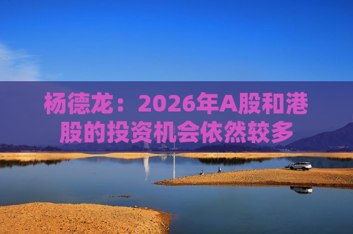 杨德龙：2026年A股和港股的投资机会依然较多