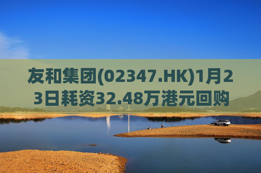 友和集团(02347.HK)1月23日耗资32.48万港元回购46.4万股
