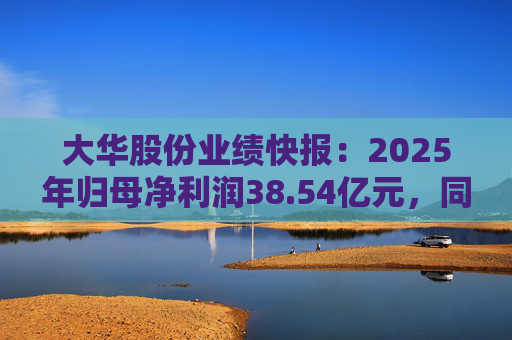 大华股份业绩快报：2025年归母净利润38.54亿元，同比增长32.65%