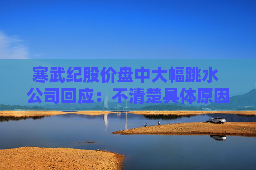 寒武纪股价盘中大幅跳水 公司回应：不清楚具体原因，市场很多传闻都是假的