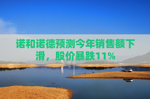 诺和诺德预测今年销售额下滑，股价暴跌11%