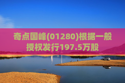奇点国峰(01280)根据一般授权发行197.5万股