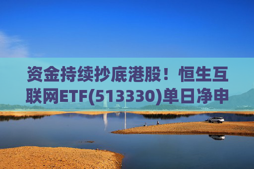 资金持续抄底港股！恒生互联网ETF(513330)单日净申购17.68亿份，规模最大的恒生科技指数ETF(513180)去年10月以来“吸金”146亿