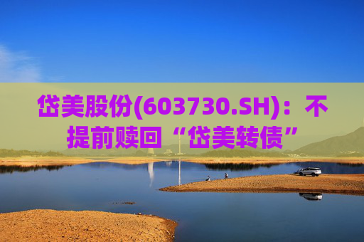 岱美股份(603730.SH)：不提前赎回“岱美转债”