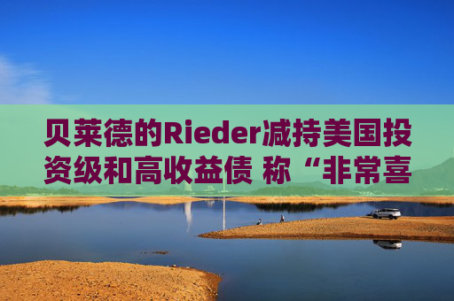 贝莱德的Rieder减持美国投资级和高收益债 称“非常喜欢”新兴市场