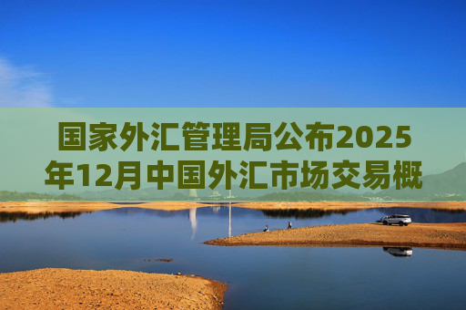 国家外汇管理局公布2025年12月中国外汇市场交易概况数据