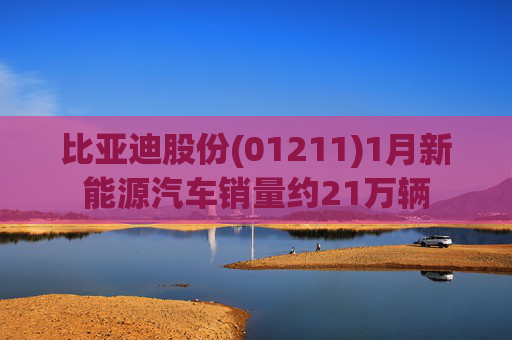 比亚迪股份(01211)1月新能源汽车销量约21万辆