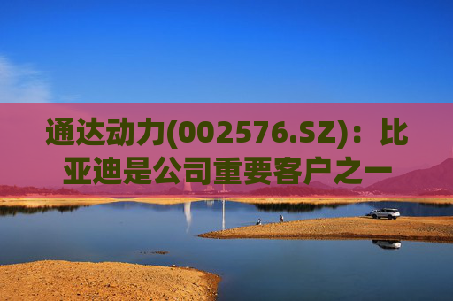 通达动力(002576.SZ)：比亚迪是公司重要客户之一
