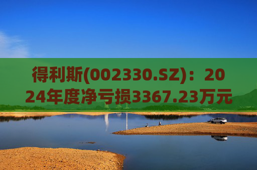 得利斯(002330.SZ)：2024年度净亏损3367.23万元  第1张