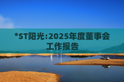 *ST阳光:2025年度董事会工作报告