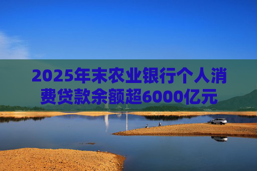 2025年末农业银行个人消费贷款余额超6000亿元
