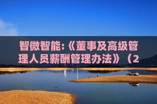 智微智能:《董事及高级管理人员薪酬管理办法》(2026年2月修订)