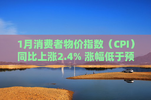 1月消费者物价指数（CPI）同比上涨2.4% 涨幅低于预期