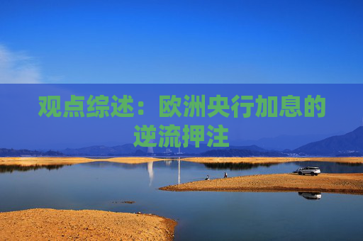 观点综述：欧洲央行加息的逆流押注