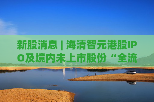 新股消息 | 海清智元港股IPO及境内未上市股份“全流通”获中国证监会备案