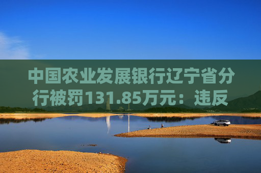 中国农业发展银行辽宁省分行被罚131.85万元:违反金融统计相关规定 第1张 中国农业发展银行辽宁省分行被罚131.85万元:违反金融统计相关规定 第1张