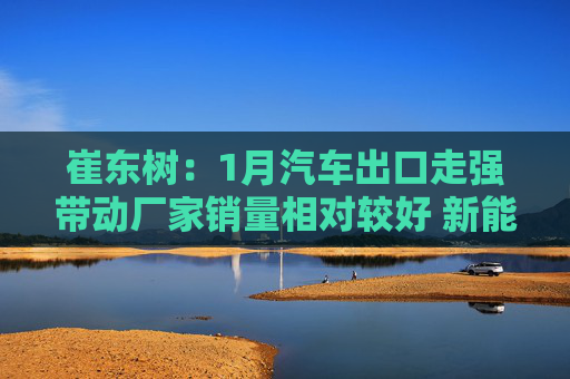 崔东树：1月汽车出口走强带动厂家销量相对较好 新能源车走势平稳