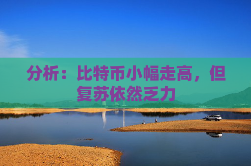 分析：比特币小幅走高，但复苏依然乏力  第1张