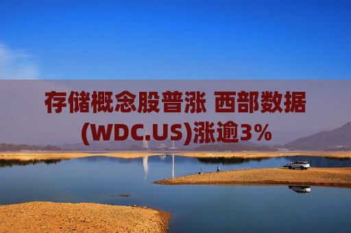 存储概念股普涨 西部数据(WDC.US)涨逾3%  第1张