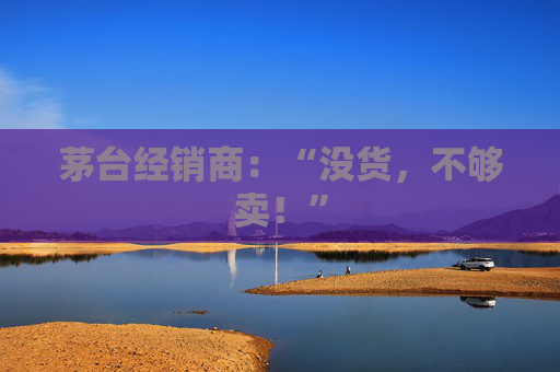 茅台经销商:“没货,不够卖!”