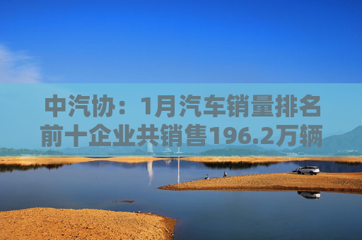 中汽协：1月汽车销量排名前十企业共销售196.2万辆