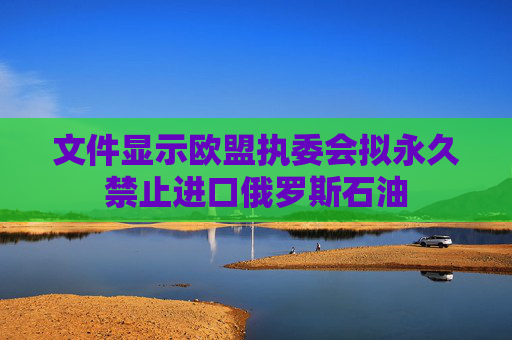 文件显示欧盟执委会拟永久禁止进口俄罗斯石油  第1张